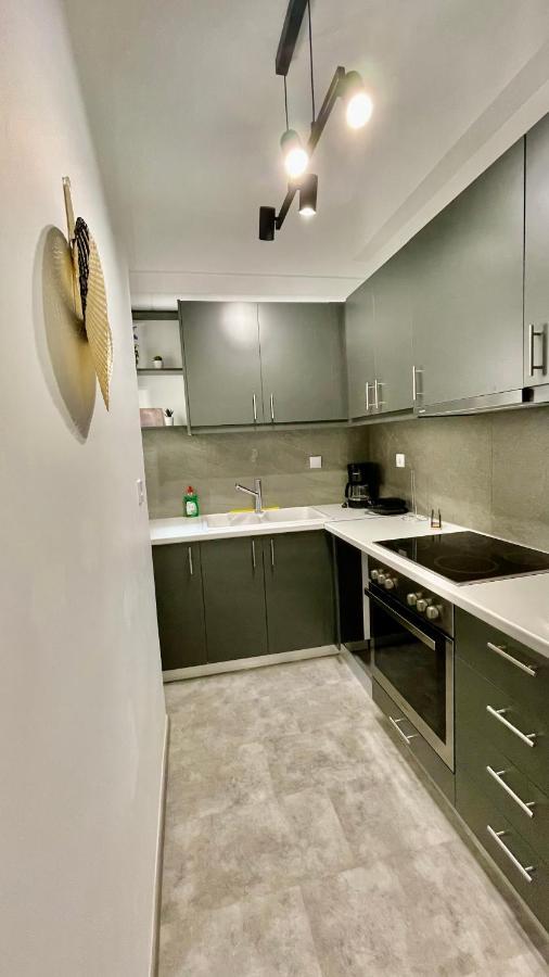 Gorgeous Renovated Apt. Close To Metro And Cultural Sites! Aten Exteriör bild